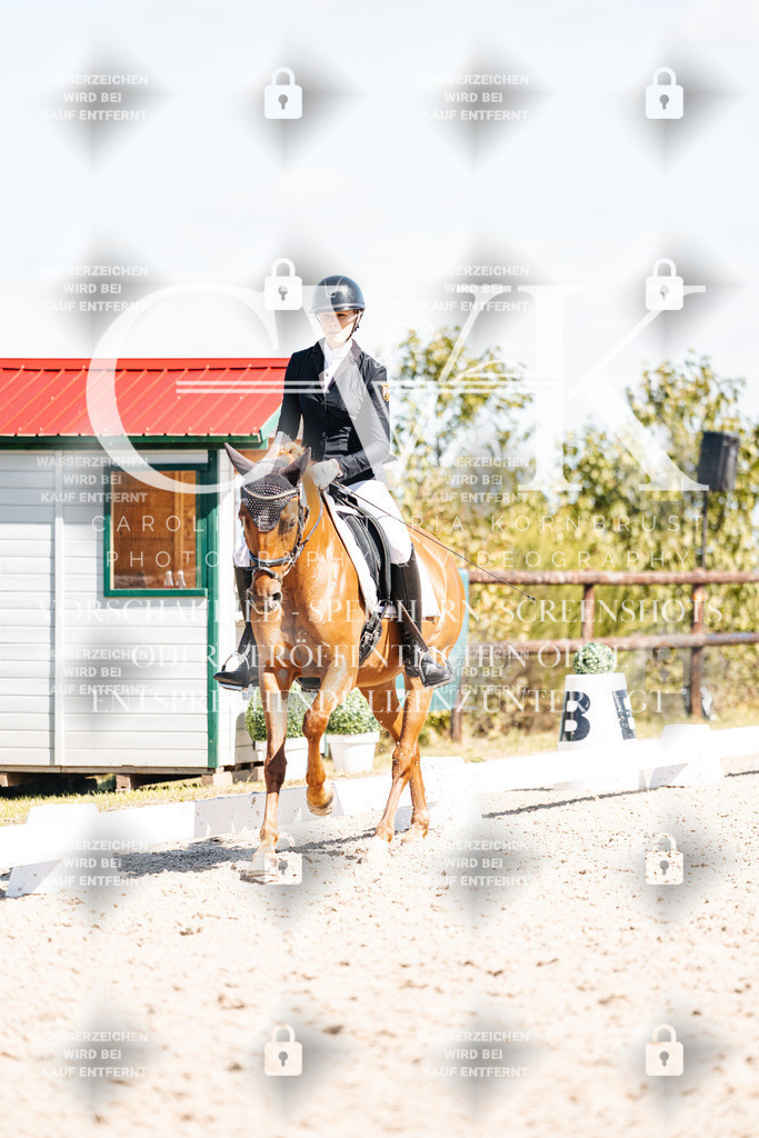 CK903601 | Turnierfotografie Pferdefotografie Trier Rheinland-Pfalz Pferdesport Reitsport Tierfotografie Sportfotografie Pferdevideo Pferdevideografie Equestrianvideography equestrianphotography  - Realisiert mit Pictrs.com