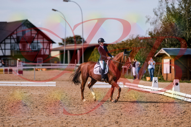 2026_10_03_Siefer-Hof_133157_Z81_87620903 | Professionelle Reitsport-, Turnier- und Eventfotografie von Robert Broda. Galerien mit ausgewählten und bearbeiteten Bildern direkt online ansehen und bestellen.