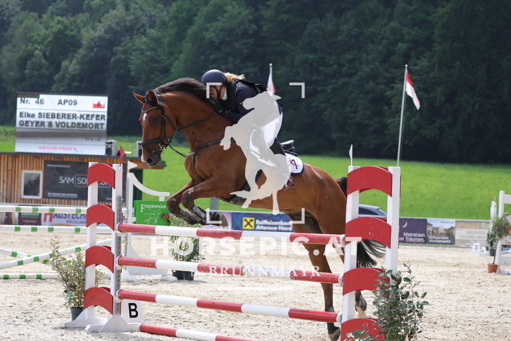 0P6A4786 | Willkommen bei Brunnmayr - Design & Fotografie – Ihrem Spezialisten für Reitturniere und Pferdeveranstaltungen in Oberösterreich, Salzburg und Bayern! Seit über 17 Jahren sind wir leidenschaftlich dabei.