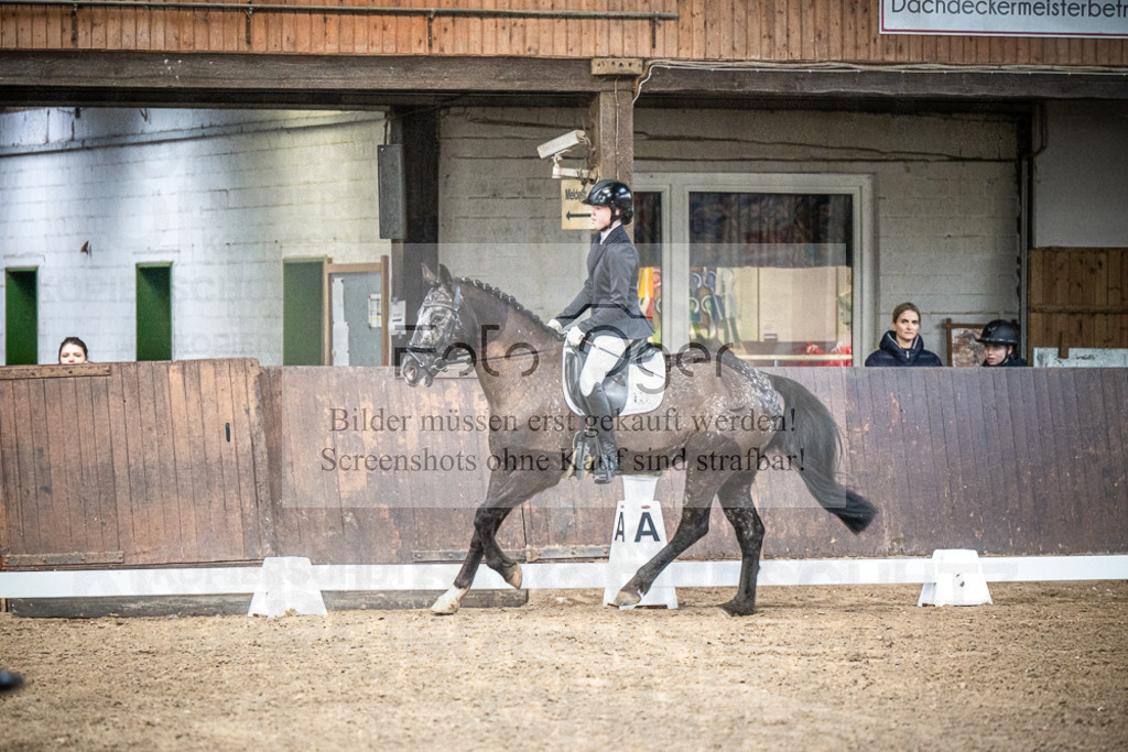 DOS_0219 | Entdecke hochwertige Reitturnierfotos von Foto Oger. Professionell, emotional und authentisch – jetzt Lieblingsmomente im Shop bestellen.Deutschlandweite Turnierfotografie. - Realisiert mit Pictrs.com
