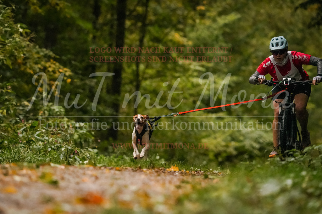 20251005_THS_Turnier-99 | MuT (Mensch und Tier) mit Mona - Fotografie und Tierkommunikation - Realisiert mit Pictrs.com