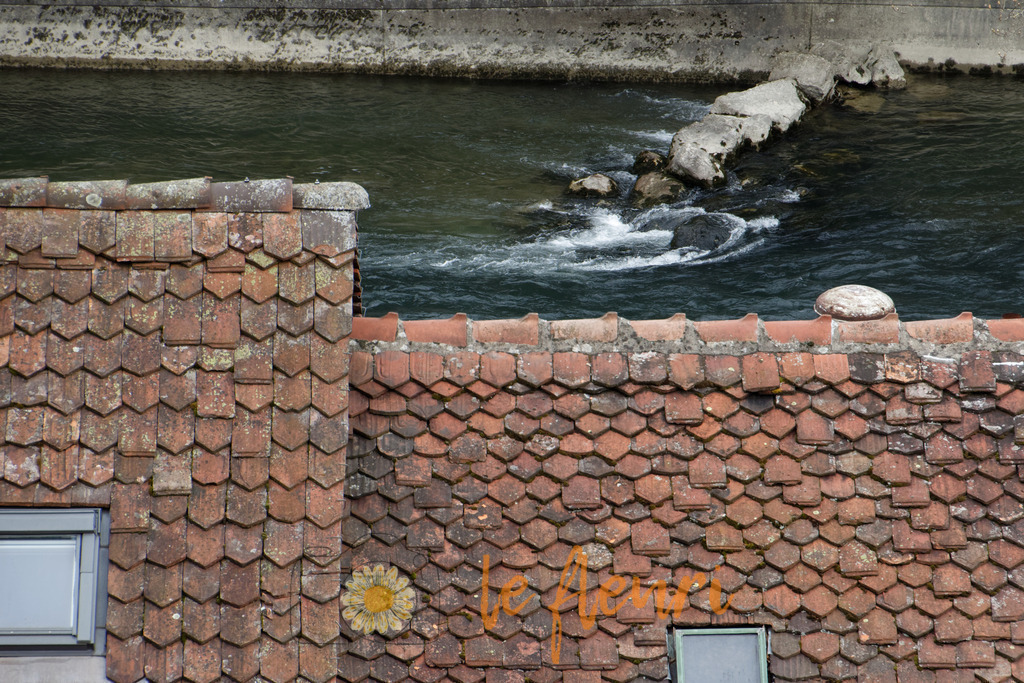 DSC_0530-NEF_DxO_PRIME | Dies ist der Shop von Florian Blum - le fleuri. Langenthal, Bern, Schweiz. Sie können hier meine oder ihre eigenen Fotos als Fotoprodukte kaufen. Tassen, Schlüsselanhänger, Taschen etc. können Sie hier gestalten.  - Realisiert mit Pictrs.com