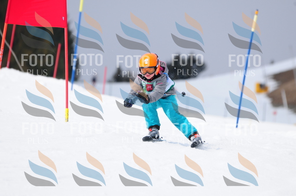 A3846 | holidayphoto