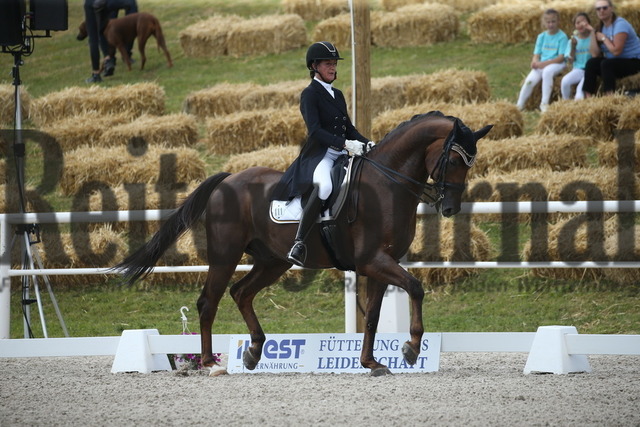 Birkhof_2022_GrandPrixSpecial_Martina Steisslinger_Favory A.S (12) | Alle Fotos der Reiterjournal Fotografin Doris Matthaes im Reiterjournal Online-Fotoshop. - Realisiert mit Pictrs.com