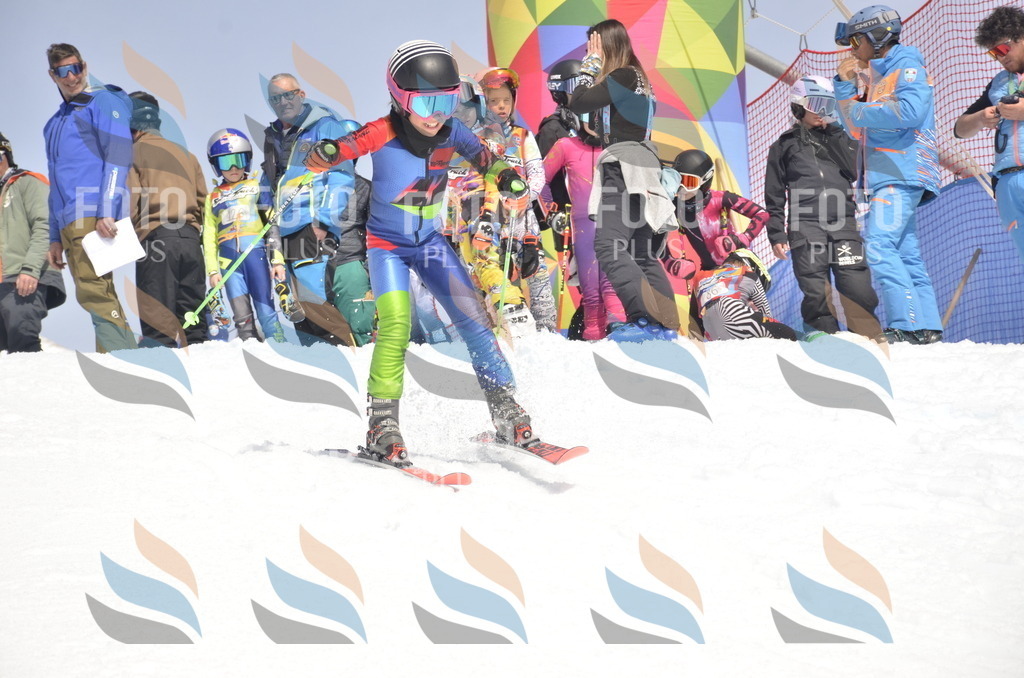 _ELE8856 | holidayphoto