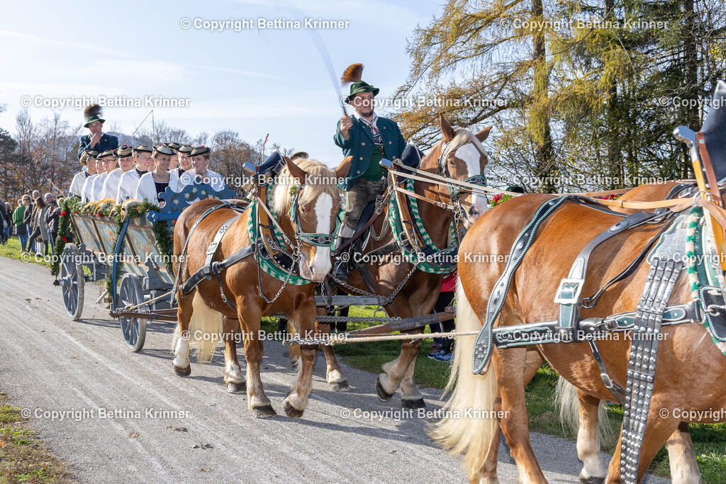 LBT24-1235 | foto-bettina-krinner - Realisiert mit Pictrs.com