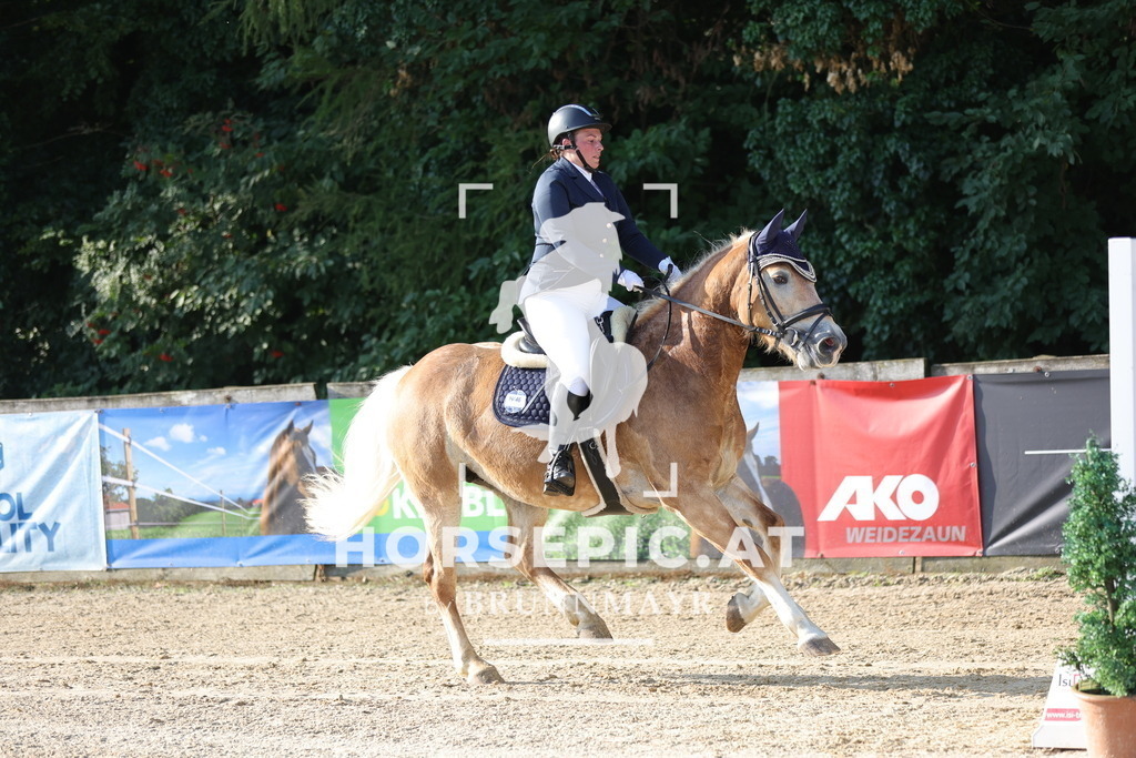 0P6A4225 | Willkommen bei Brunnmayr - Design & Fotografie – Ihrem Spezialisten für Reitturniere und Pferdeveranstaltungen in Oberösterreich, Salzburg und Bayern! Seit über 17 Jahren sind wir leidenschaftlich dabei.