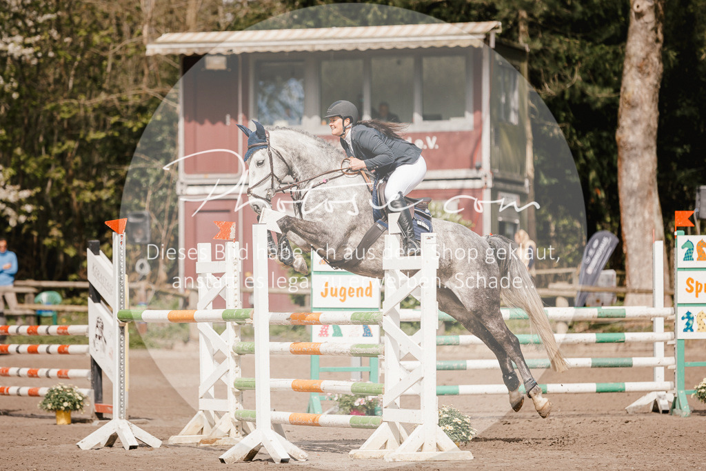 3I6A4239 | Stimmungsvolle Portraits und Reitsportfotografie im Ruhrgebiet und im Münsterland.

Pferdefotografie, Hundefotografie, Tierfotografie, Reportagen, Portraits von Tier und Mensch, Turnierfotografie in Bochum, Recklinghausen, Marl, Haltern am See, Dülmen.. - Realisiert mit Pictrs.com