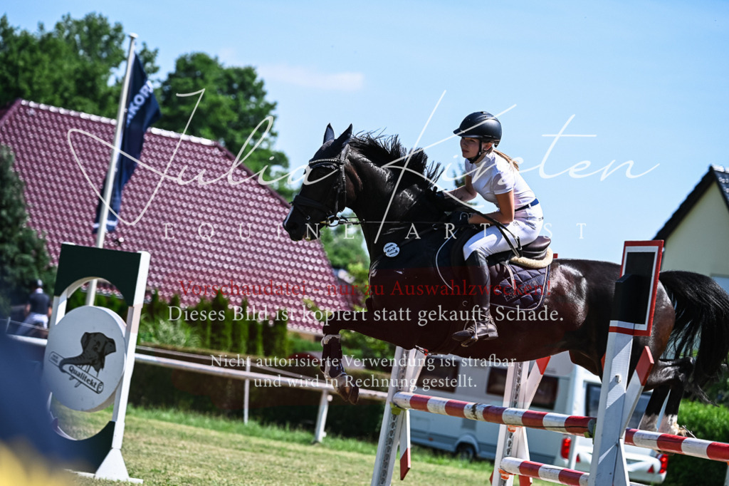 DSC_1028 | Pferde- und Turnierfotografie in Westsachsen. Pferdeportraits, Auftragszeichnungen und intuitive Kunst.