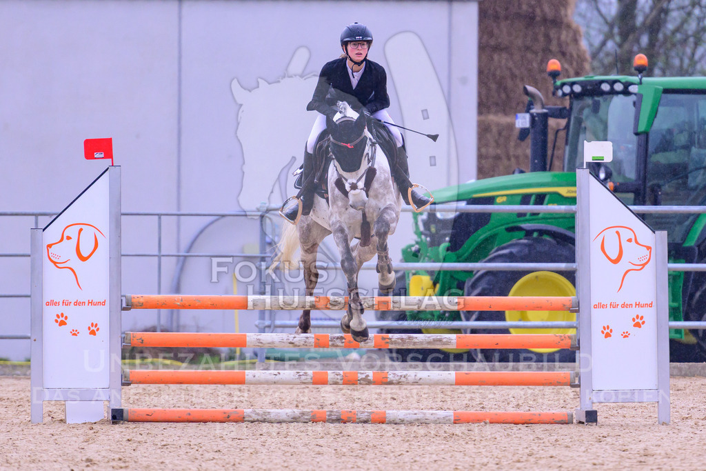 12042026-Mammendorf-Prfg37-0279 | Fokus Hufschlag Fotografie - Realisiert mit Pictrs.com