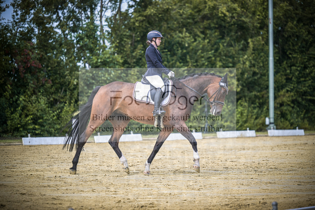 DOS_5388 | Entdecke hochwertige Reitturnierfotos von Foto Oger. Professionell, emotional und authentisch – jetzt Lieblingsmomente im Shop bestellen.Deutschlandweite Turnierfotografie. - Realisiert mit Pictrs.com