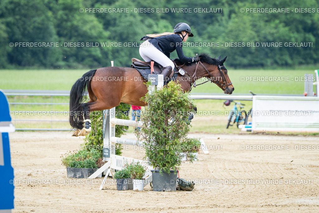 DSC03236 | Pferdegrafie