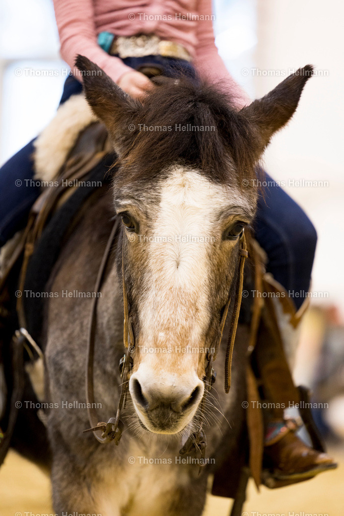 TH_Diana John Royer_5594 | EQUITANA Essen 2023 am 17.01.22 in Essen, Thomas Hellmann, Diana John Royer