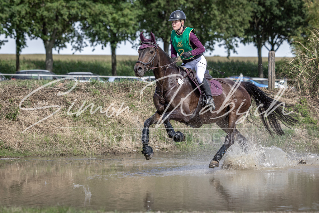 20250907-_3LI0731 | Tierfotografie Pferde, Hunde, Katzen, Haustiere.
Turnierfotografie Reitturniere, Reiten, Springreiten, Dressur in Hanau, dem Main-Kinzig-Kreis und dem Rhein-Main- Gebiet um Frankfurt