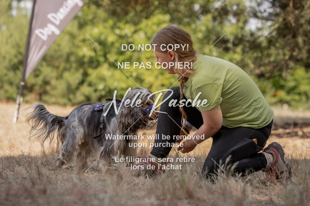 nelerasche_soDD2_349 | nelerasche