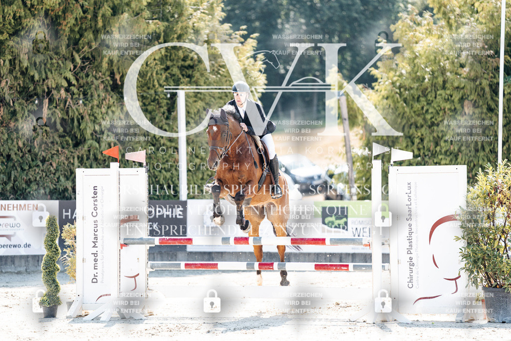 CK908583 | Turnierfotografie Pferdefotografie Trier Rheinland-Pfalz Pferdesport Reitsport Tierfotografie Sportfotografie Pferdevideo Pferdevideografie Equestrianvideography equestrianphotography  - Realisiert mit Pictrs.com