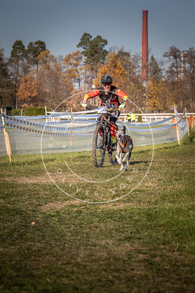 CaniXpix_0L8A6427 | Hundefotografie, Tierfotograf, Pfotenfotografie, Fotoshooting Hund, Hunde Portrait, Hundesport, Hundeportraits, Heideshooting, Hunde, Sportfotograf, Hundefotograf, Turnierhundsport, THS,  - Realisiert mit Pictrs.com