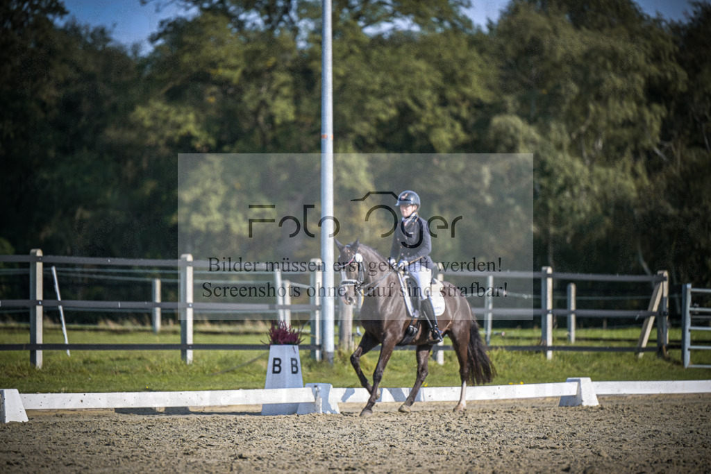 DOS_3266 | Entdecke hochwertige Reitturnierfotos von Foto Oger. Professionell, emotional und authentisch – jetzt Lieblingsmomente im Shop bestellen.Deutschlandweite Turnierfotografie. - Realisiert mit Pictrs.com