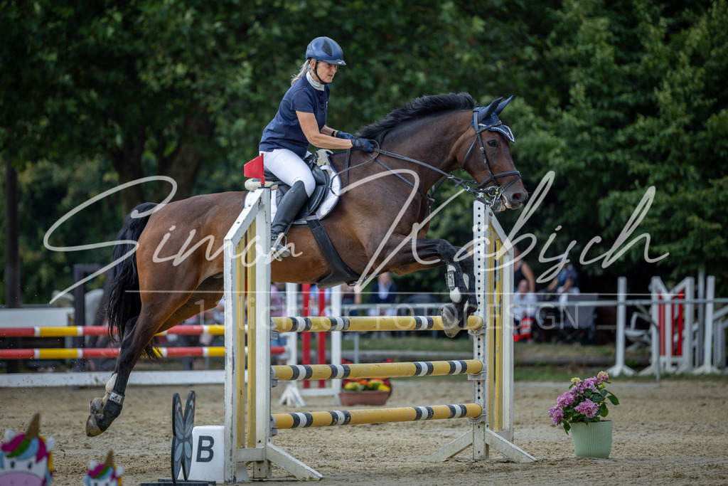 20260704-_3LI1417 | Tierfotografie Pferde, Hunde, Katzen, Haustiere.
Turnierfotografie Reitturniere, Reiten, Springreiten, Dressur in Hanau, dem Main-Kinzig-Kreis und dem Rhein-Main- Gebiet um Frankfurt