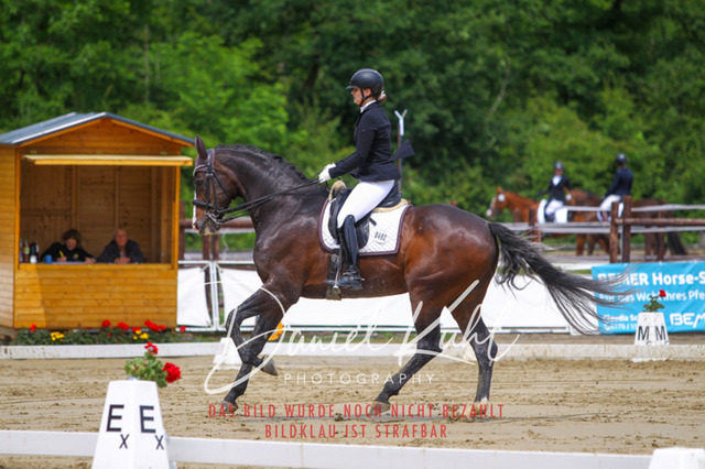 DKP40765 | Turniersportfotografie; Pferdefotografie; Dressurfotografie