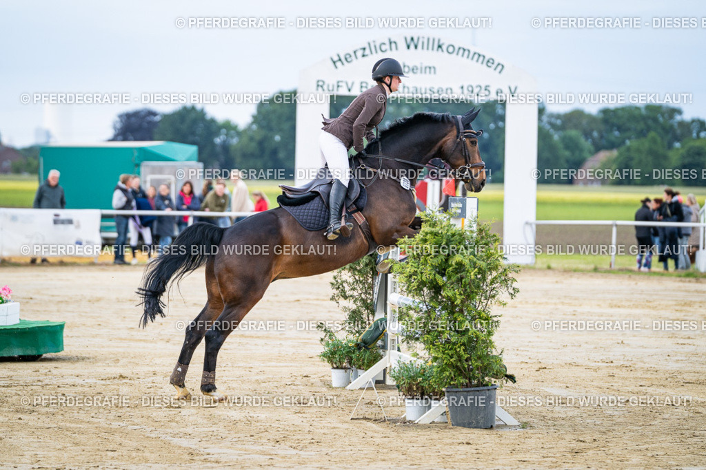 DSC03446 | Pferdegrafie