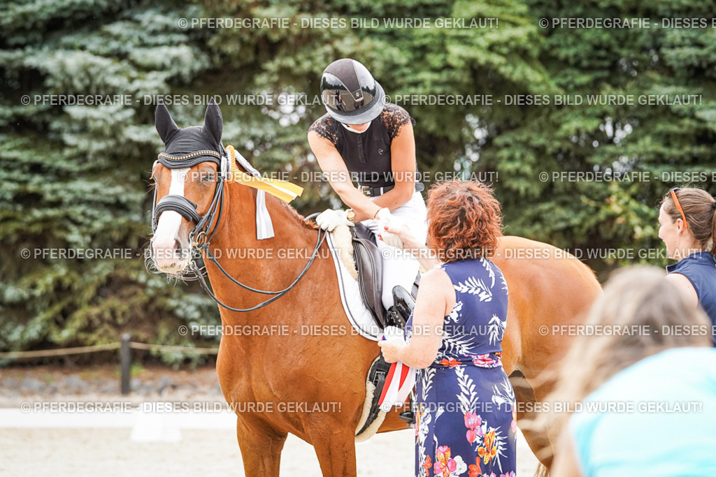 DSC08055 | Pferdegrafie