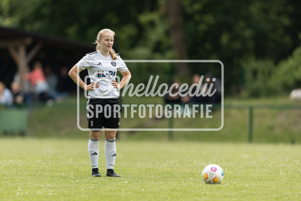 Fußball I Frauen I Saison 2025-2026 I Oberliga Niedersachsen I FC Jesteburg-Bendestorf - BW Hollage I 12755 | realhellocedii - Realisiert mit Pictrs.com