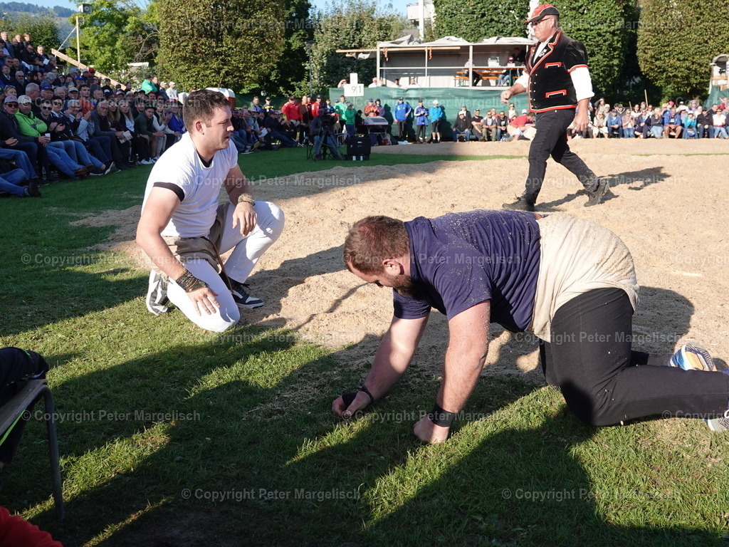 DSC05530 | Schwingen - Realisiert mit Pictrs.com