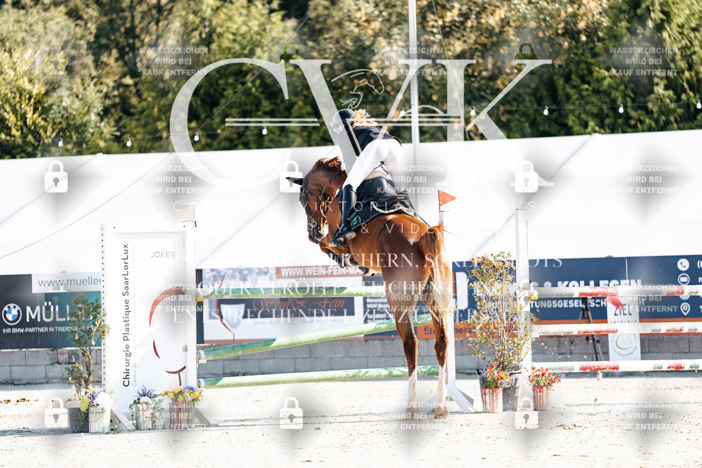 CK901557 | Turnierfotografie Pferdefotografie Trier Rheinland-Pfalz Pferdesport Reitsport Tierfotografie Sportfotografie Pferdevideo Pferdevideografie Equestrianvideography equestrianphotography  - Realisiert mit Pictrs.com