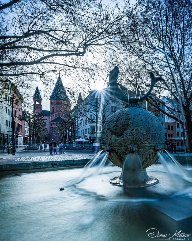Der Fischtorbrunnen in Mainz | Der Fischtorbrunnen in Mainz am Fischtorplatz