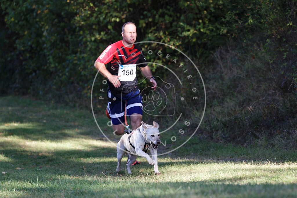 0L8A4991 | Hundefotografie, Tierfotograf, Pfotenfotografie, Fotoshooting Hund, Hunde Portrait, Hundesport, Hundeportraits, Heideshooting, Hunde, Sportfotograf, Hundefotograf, Turnierhundsport, THS,  - Realisiert mit Pictrs.com