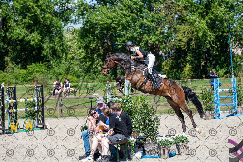 KPT_1348 | andre_photographic