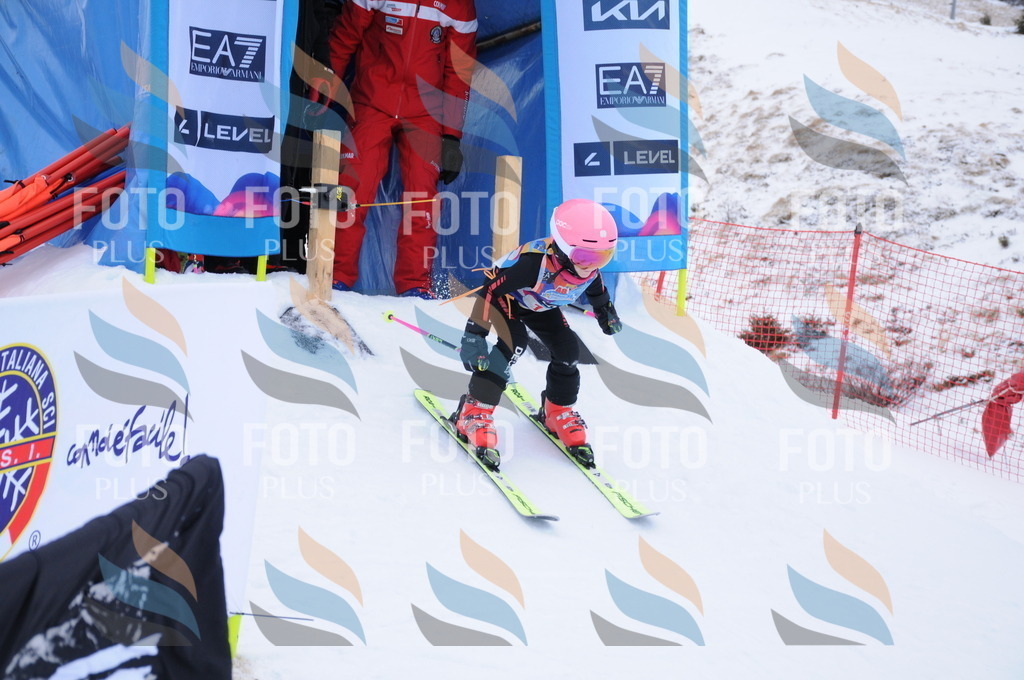 DSC_7631 | holidayphoto