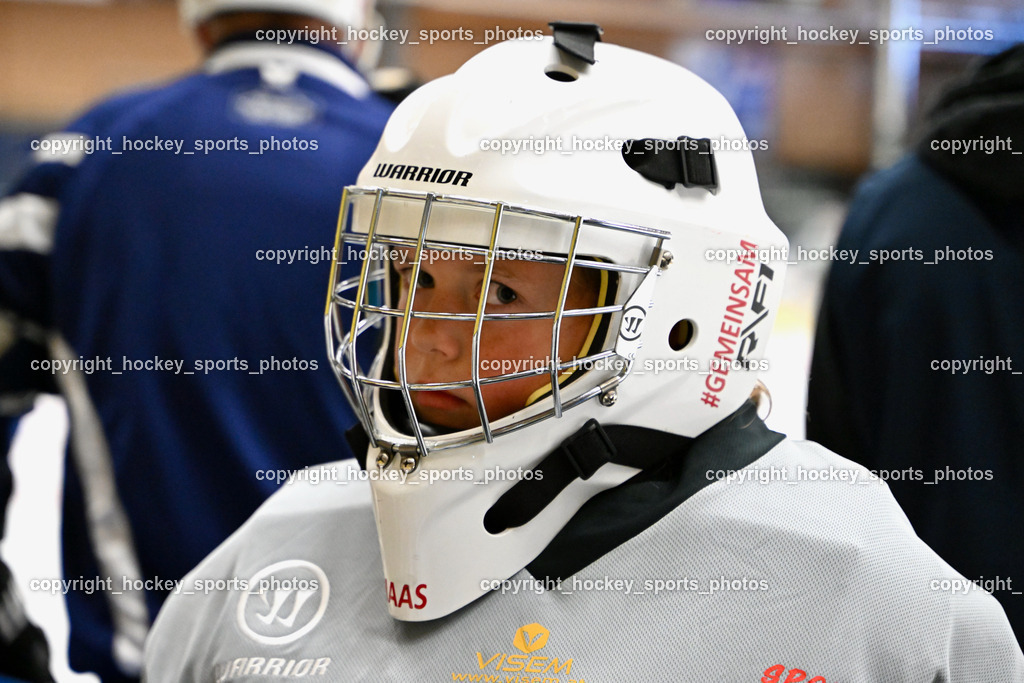 Z9B_9961 | hockey sports photos, Pressefotos, Sportfotos, hockey247, win 2day icehockeyleague, Handball Austria, Floorball Austria, ÖVV, Kärntner Eishockeyverband, KEHV, KFV, Kärntner Fussballverband, Österreichischer Volleyballverband, Alps Hockey League, ÖFB, 