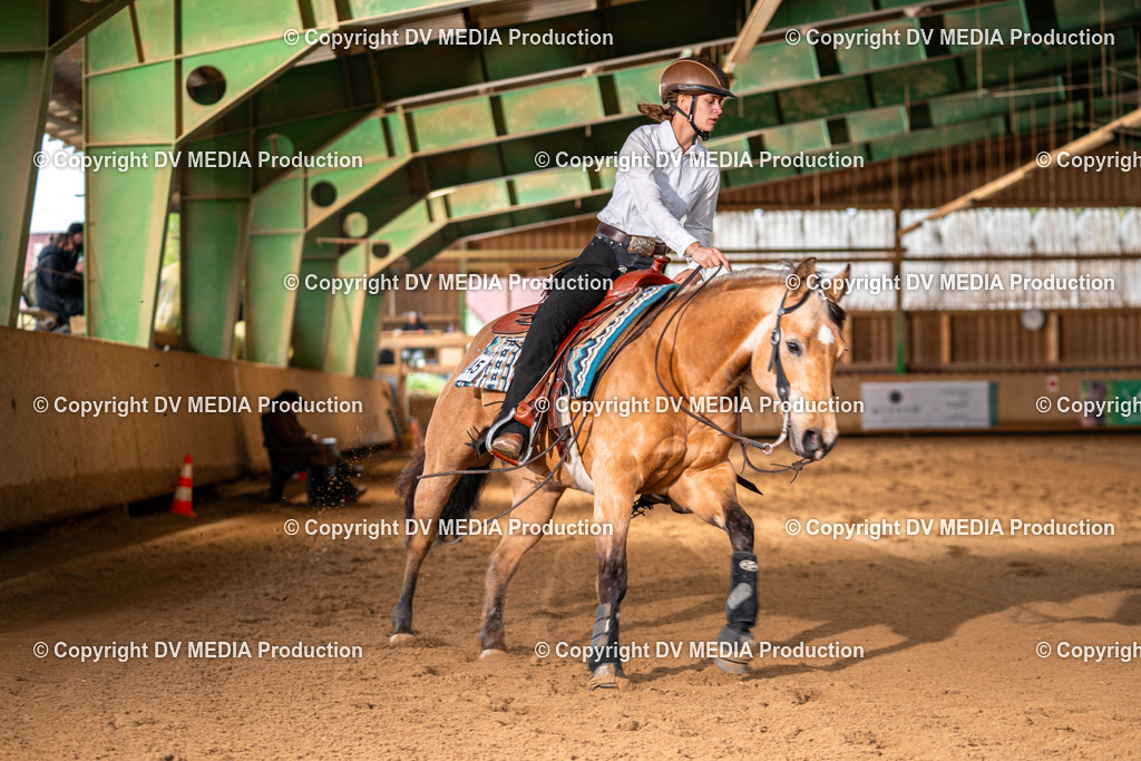 Balingen Tag 4-1245 | dv-media-shop - Realisiert mit Pictrs.com