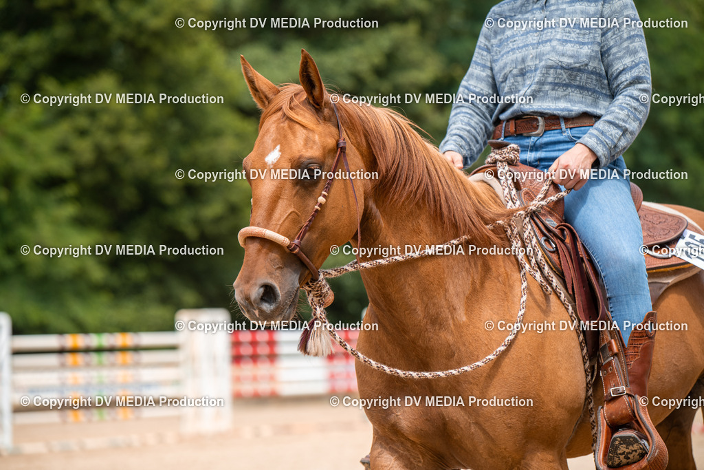 ZS2_8184 | dv-media-shop - Realisiert mit Pictrs.com