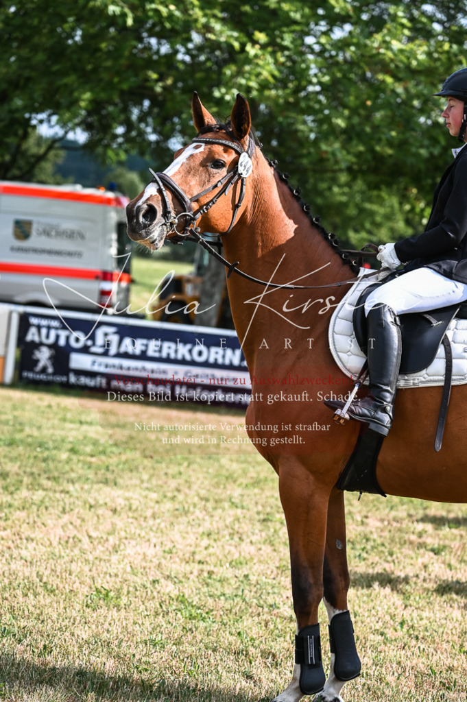 DSC_7685 | Pferde- und Turnierfotografie in Westsachsen. Pferdeportraits, Auftragszeichnungen und intuitive Kunst.
