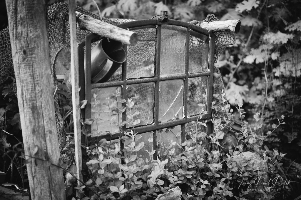 2024-08-08_20_22_24_L1007846-Bearbeitet | Franz Podek