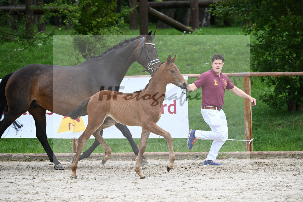 Kat-Nr. nn SF Vitalos_Kopp_25230415 | hf-fotografie - Realizzato con Pictrs.com