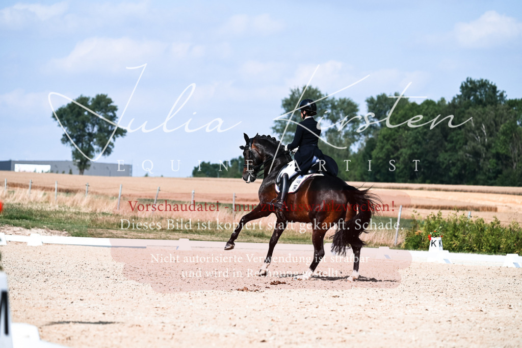 DSC_3403 | Pferde- und Turnierfotografie in Westsachsen. Pferdeportraits, Auftragszeichnungen und intuitive Kunst.