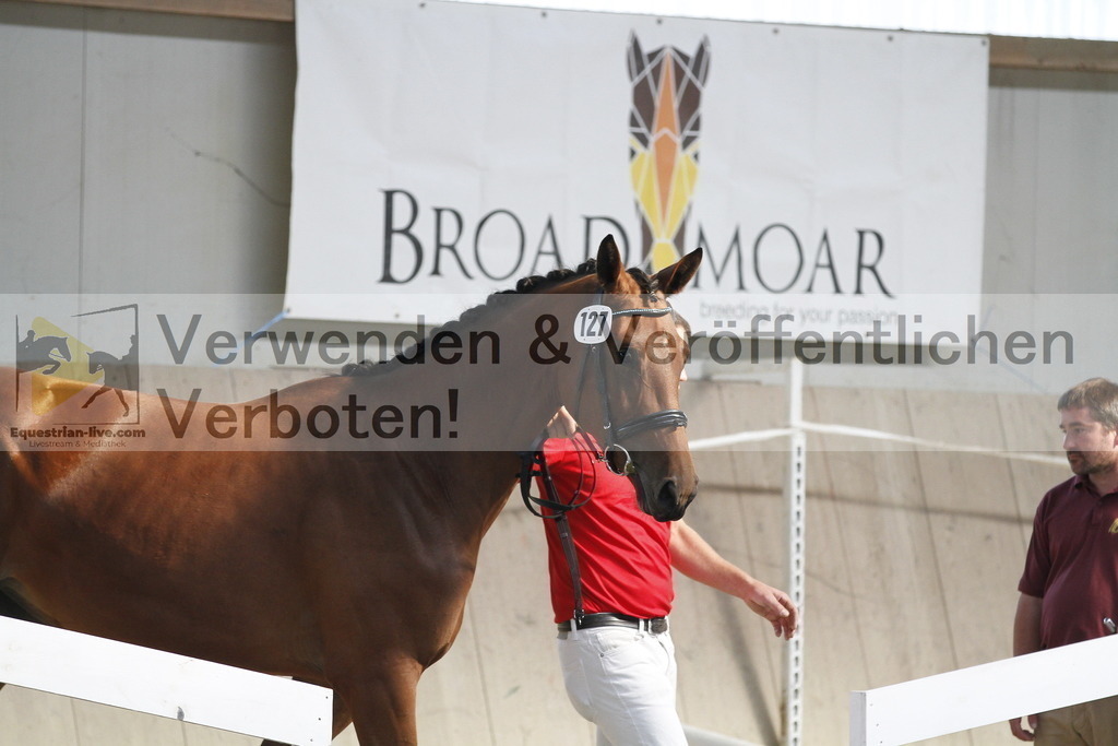 _MG_0653 | equestrian-live-com
