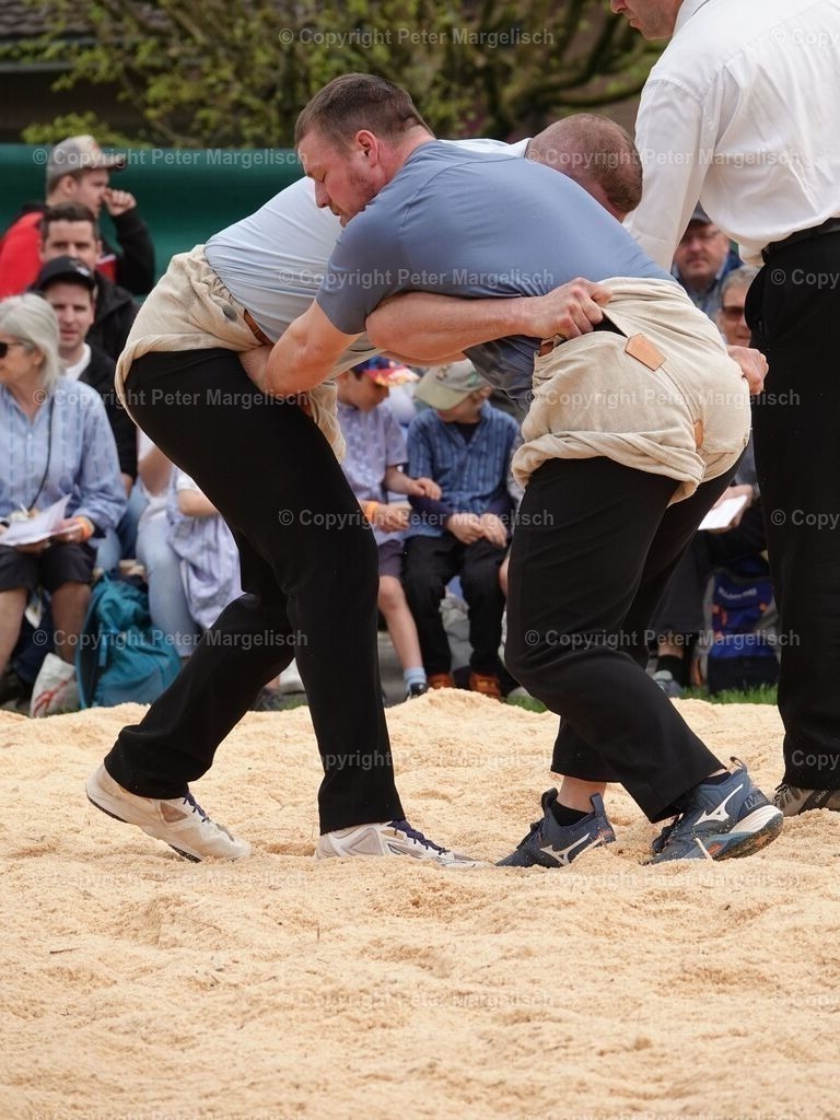 k-DSC06177 | Schwingen - Realisiert mit Pictrs.com