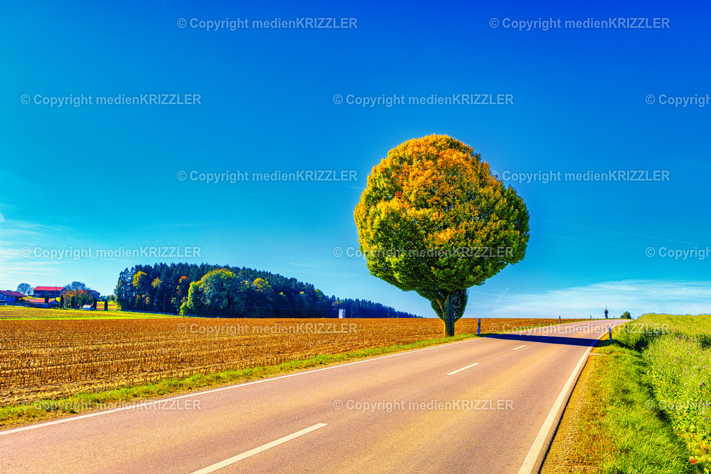 _J3A8765 | medienkrizzler - Realisiert mit Pictrs.com