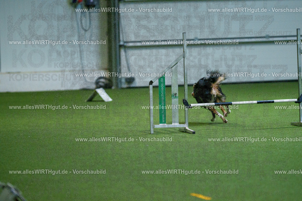 7R503151 | Professionelle Tierfotografie in Mönchengladbach von Daniel Wirth (allesWIRTHgut). Liebevolle & natürliche Bilder von Hunden & Katzen für unvergessliche Erinnerungen.