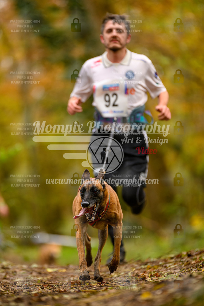 MompixPhotography_Bischwiller24_SA_Canicross-145 | PayLife