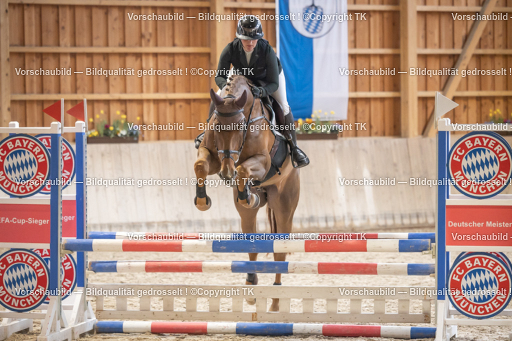 _D5A7284 | Emotionale Pferde- & People-Fotografie rund um Heidelberg, Leimen & Umgebung. Natürliche Fotos von Pferd, Mensch & Familie. Jetzt Termin sichern!