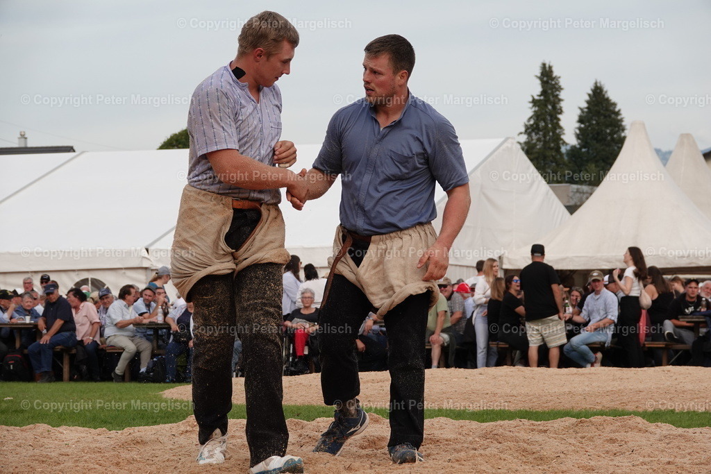 DSC08509 | Schwingen - Realisiert mit Pictrs.com