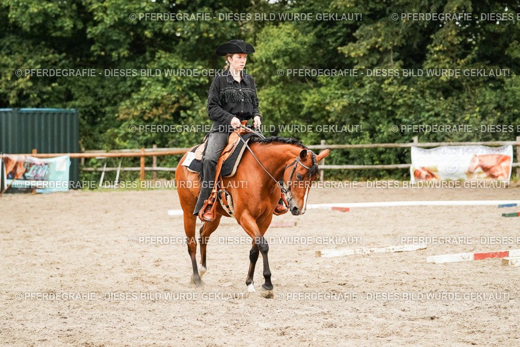 DSC08277 | Pferdegrafie