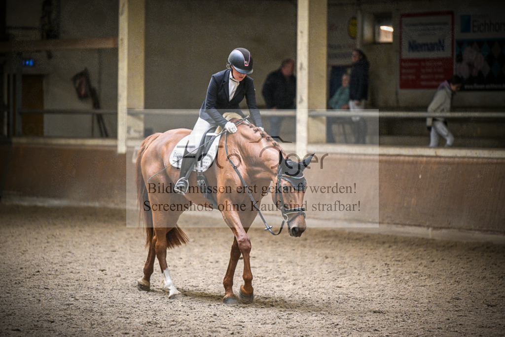 DOS_1032 | Entdecke hochwertige Reitturnierfotos von Foto Oger. Professionell, emotional und authentisch – jetzt Lieblingsmomente im Shop bestellen.Deutschlandweite Turnierfotografie. - Realisiert mit Pictrs.com