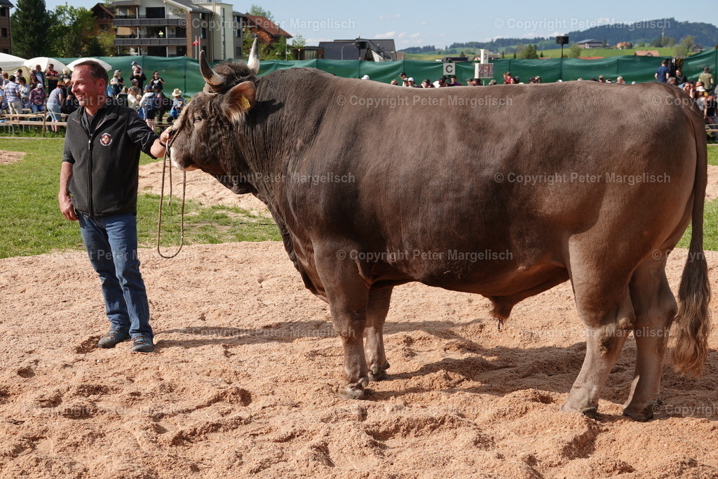 DSC01071 | Schwingen - Realisiert mit Pictrs.com